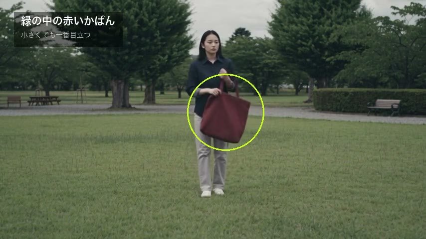 芝生の緑の中で、赤いかばんを持ち上げる女性。丸がかばん