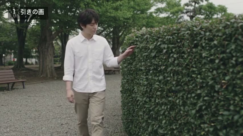 曇り空の公園の引き