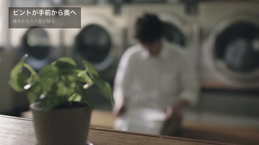 ピントが奥へ移る途中