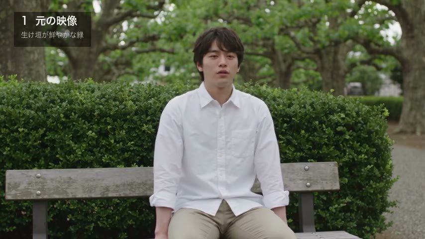 公園のベンチの男性。後ろの生け垣は鮮やかな緑